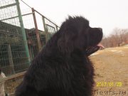 Превью фото № 220028