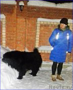 Превью фото № 220030