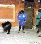 Превью фото № 220034