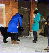 Превью фото № 220037