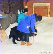 Превью фото № 220038