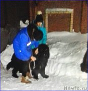 Превью фото № 220039