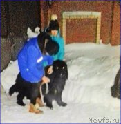 Превью фото № 220040