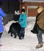 Превью фото № 220041