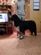 Превью фото № 220168