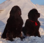 Превью фото № 220172