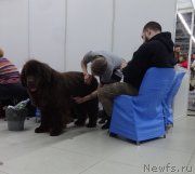 Превью фото № 220195