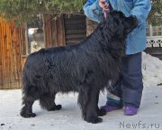 Превью фото № 220198