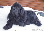 Превью фото № 220205