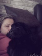 Превью фото № 220244