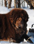 Превью фото № 220269