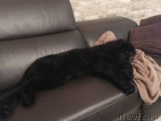 Превью фото № 220297