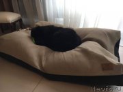 Превью фото № 220298