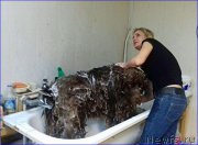 Превью фото № 220320