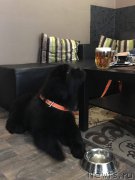 Превью фото № 220321