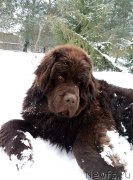 Превью фото № 220328