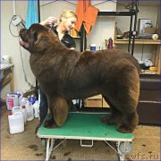 Превью фото № 220400