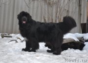 Превью фото № 220404