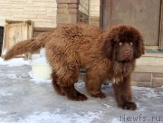 Превью фото № 220407