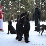 Превью фото № 220417