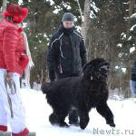 Превью фото № 220420