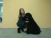 Превью фото № 220470