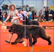 Превью фото № 220548