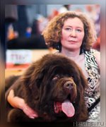 Превью фото № 220550