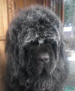 Превью фото № 220565