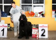 Превью фото № 220590