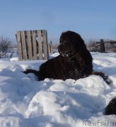 Превью фото № 220640