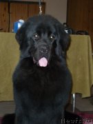 Превью фото № 220732