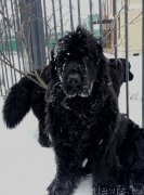 Превью фото № 220763