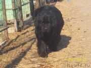 Превью фото № 220768