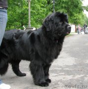 Превью фото № 220790