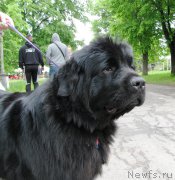 Превью фото № 220793