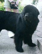 Превью фото № 220799