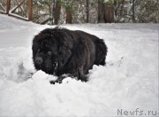 Превью фото № 220811