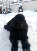 Превью фото № 220812