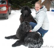 Превью фото № 220828