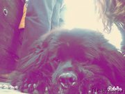 Превью фото № 220829