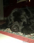 Превью фото № 220836