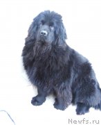 Превью фото № 220839