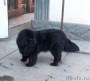 Превью фото № 220841