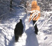 Превью фото № 220851