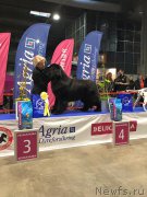 Превью фото № 220893