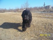 Превью фото № 220900