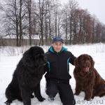 Превью фото № 221045