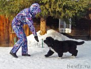 Превью фото № 221058