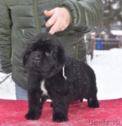 Превью фото № 221124